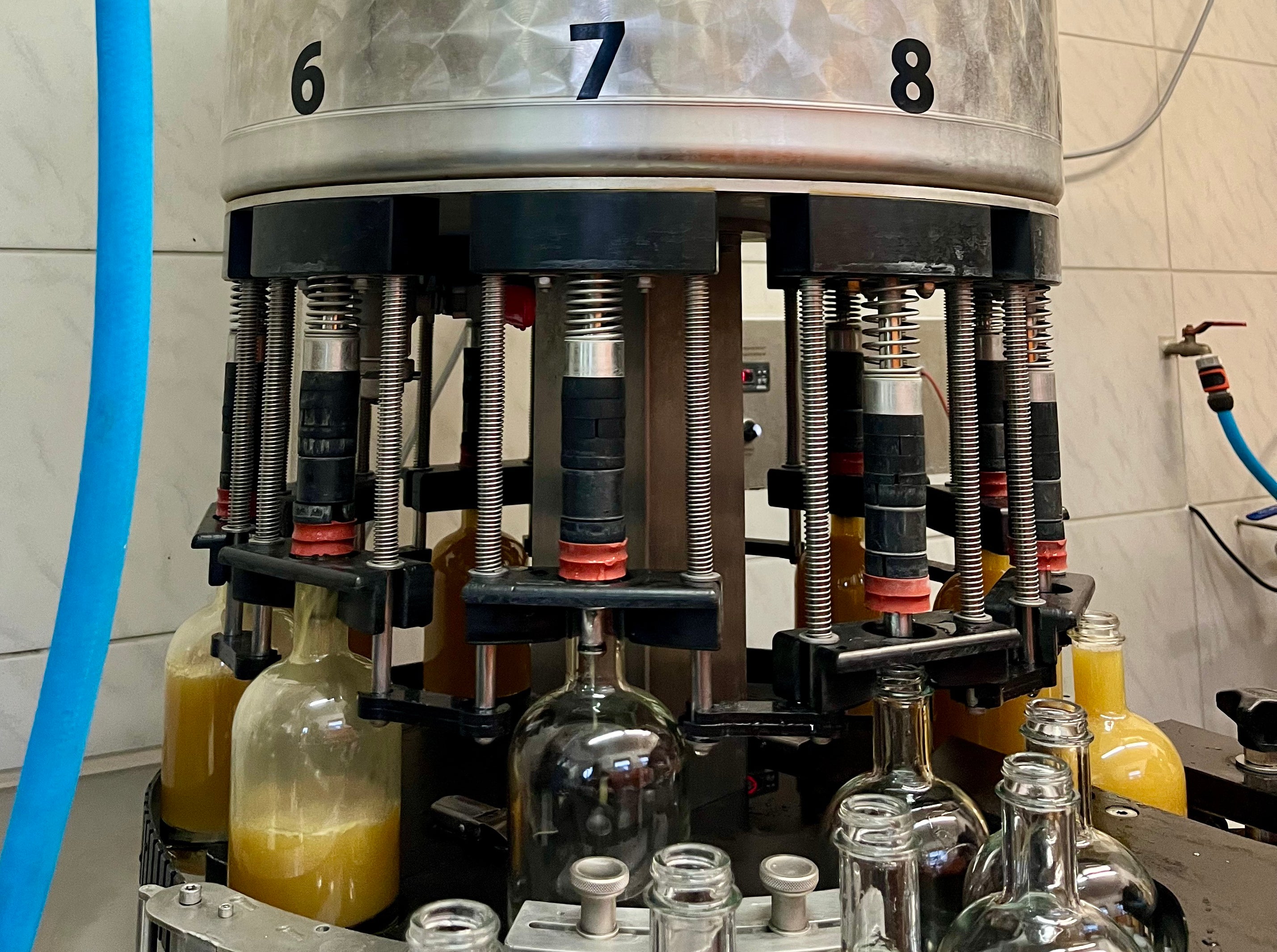 GINGER Premium Bio Ingwersirup Berlin