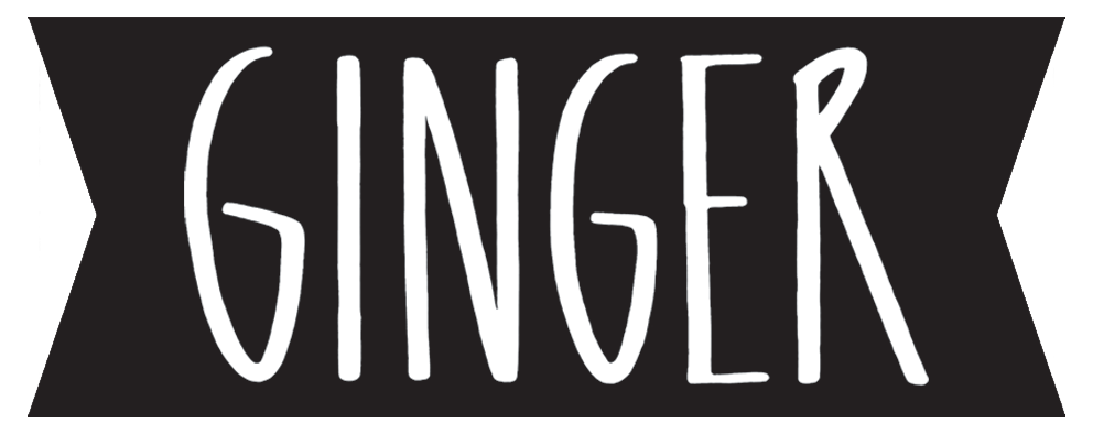 Best Ginger Sirup bio Ingwersirup für Drinks Ingwer Limo Basis